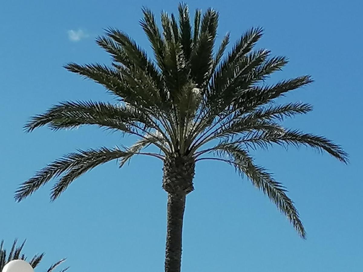坎波阿莫Mirador De Aguamarina公寓 外观 照片