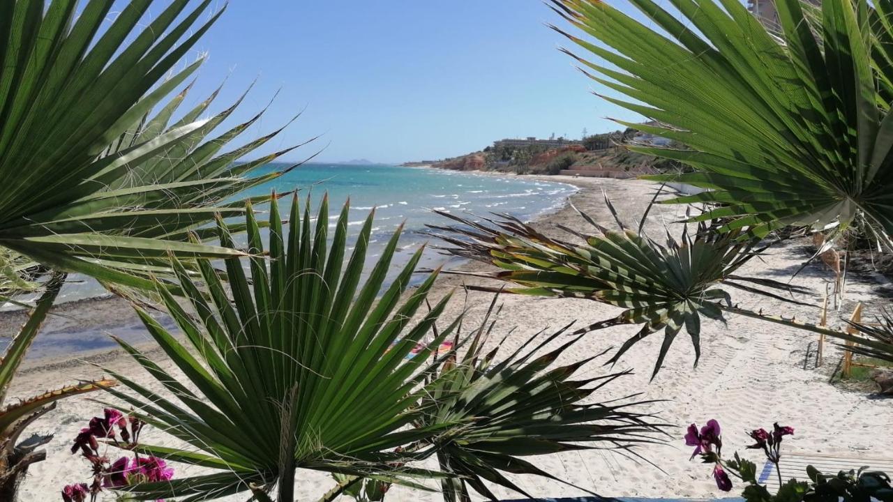 坎波阿莫Mirador De Aguamarina公寓 外观 照片